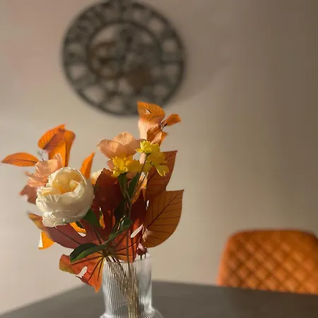 Harzfokus - Freshnest #netflix#wlan#zentrum Wernigerode