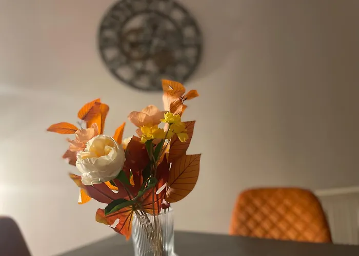 Harzfokus - Freshnest #netflix#wlan#zentrum Wernigerode